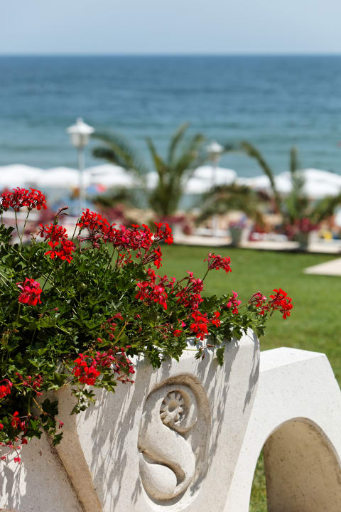 Ausblick Hotel Palace, Sunny Day Resort