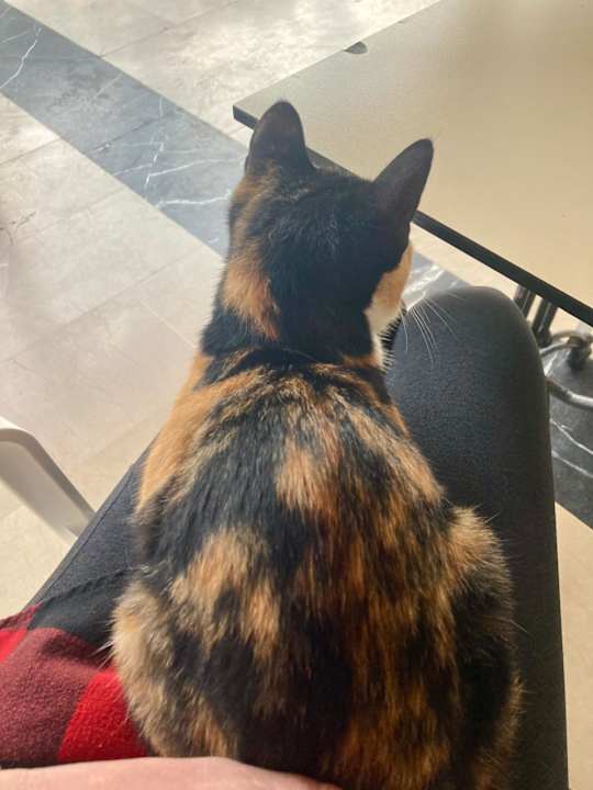 Pool LRS Port River Hotel & Spa