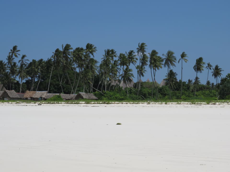 Strand Neptune Paradise Beach Resort & Spa