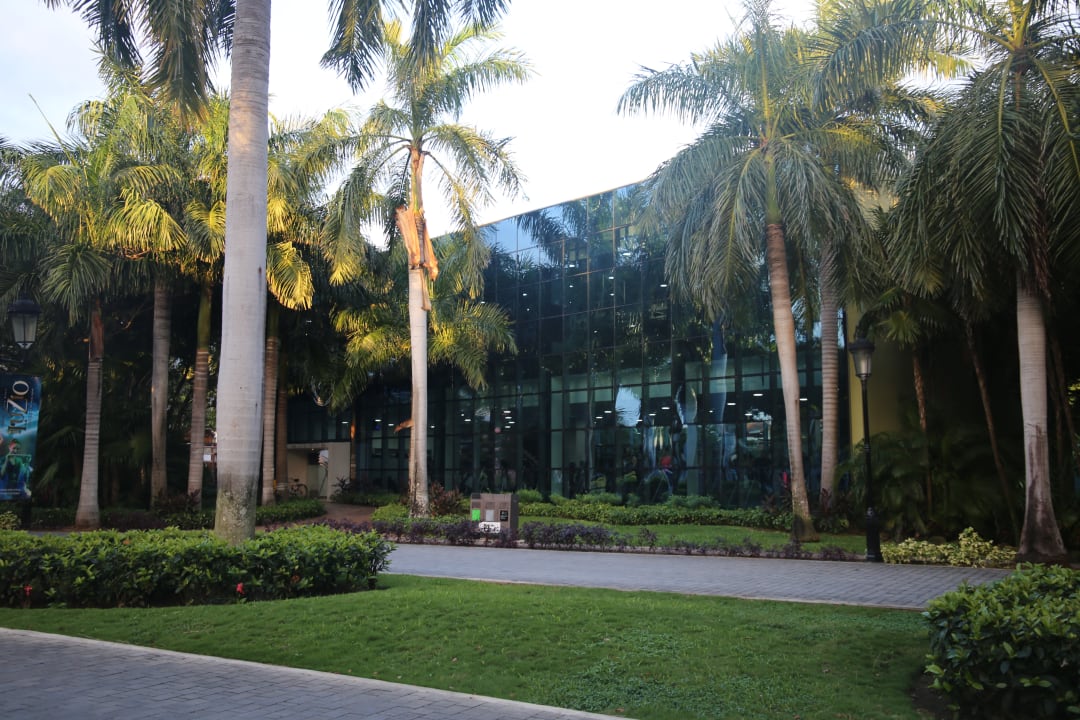 Sport & Freizeit Iberostar Selection Paraiso Lindo