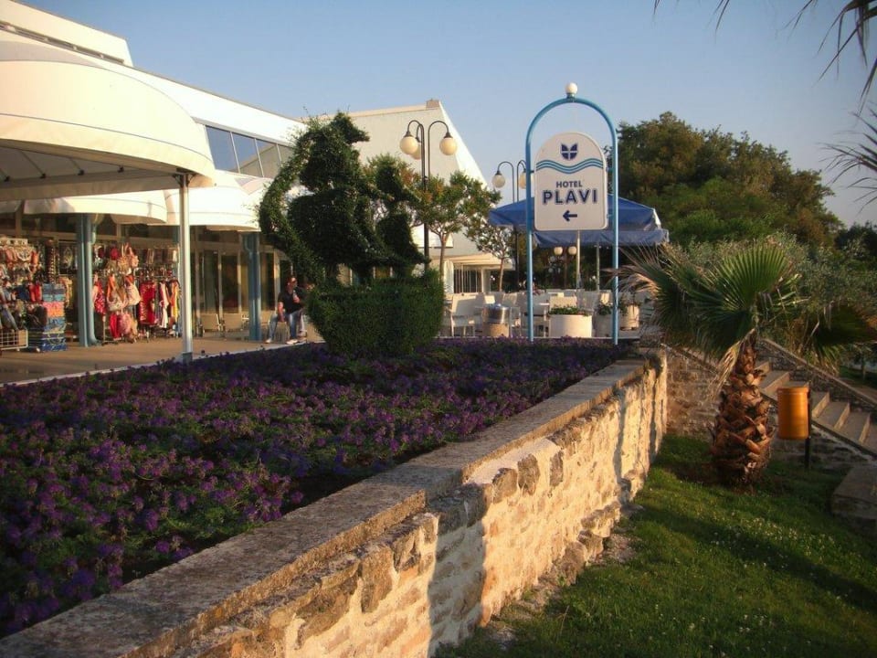 Hotelfront Hotel Plavi Plava Laguna