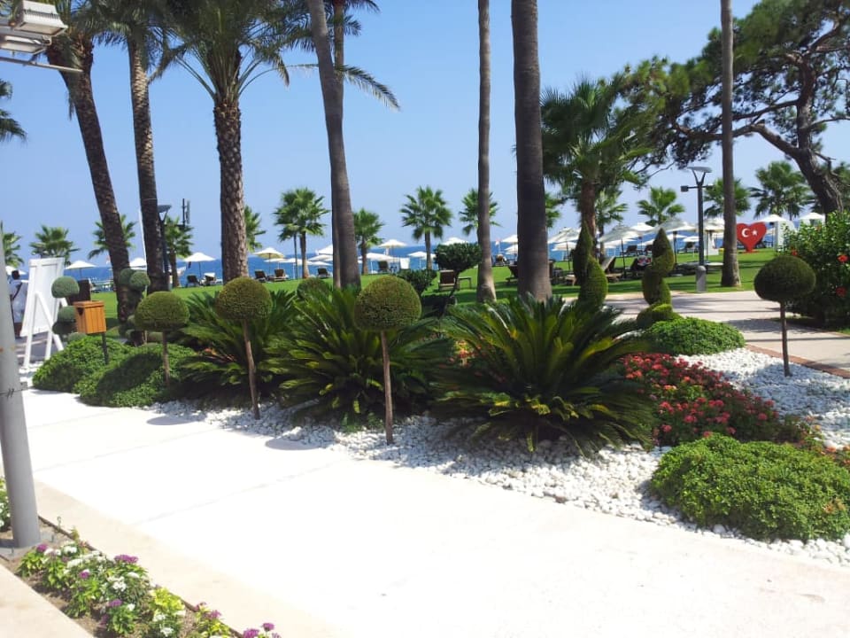 Club Med Bodrum Palmiye Club Med Bodrum Palmiye