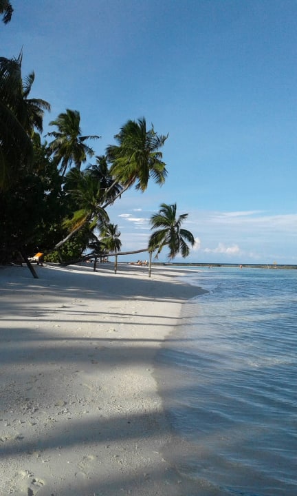 Beim strandspaziergang Sun Siyam Vilu Reef