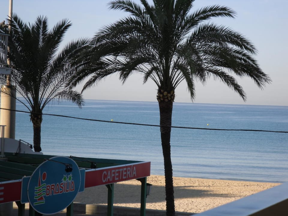 Ausblick Zimmer 112 Hotel Edén Palma Playa - Adults Only