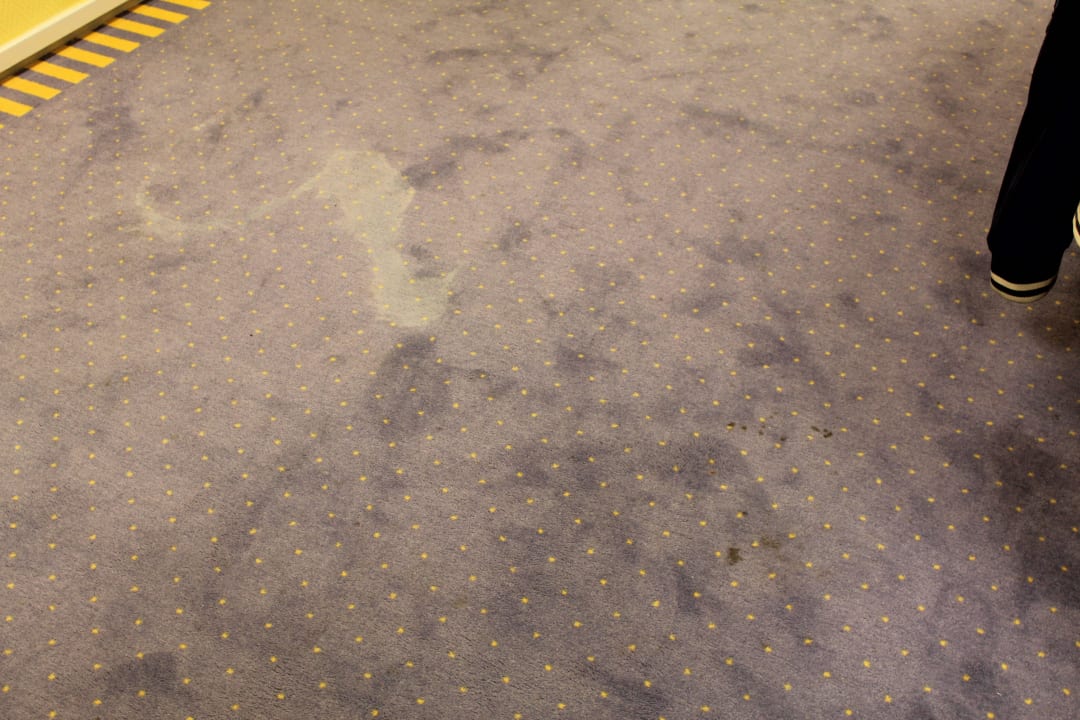 Ekelhaft !  Fletcher Hotel-Restaurant Marijke