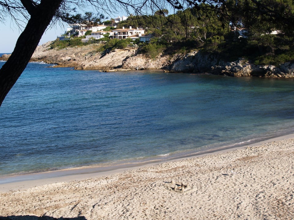 Direkt neben dem Hotel der Strand Font des sa Cala Iberostar Waves Pinos Park
