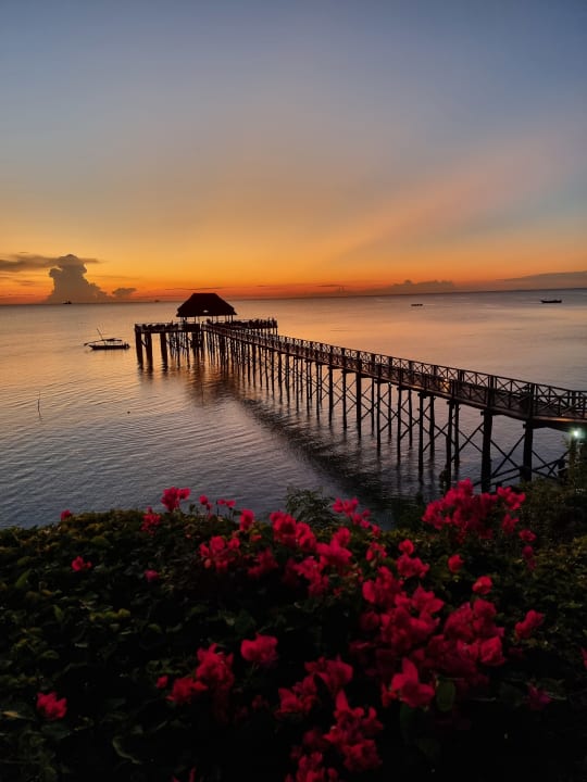 Gartenanlage Sea Cliff Resort & Spa