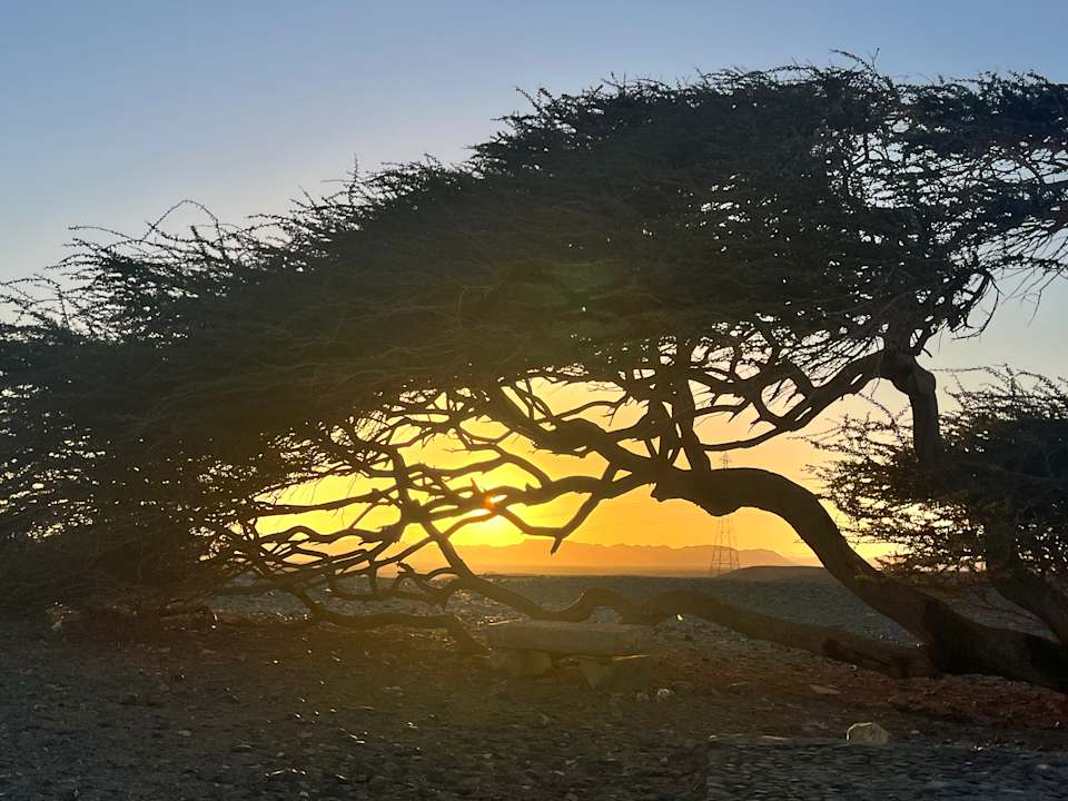 Sonstiges Shams Alam Beach Resort