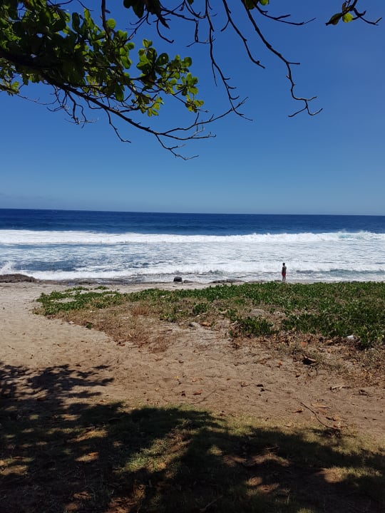 Außenansicht Palm Hotel & Spa