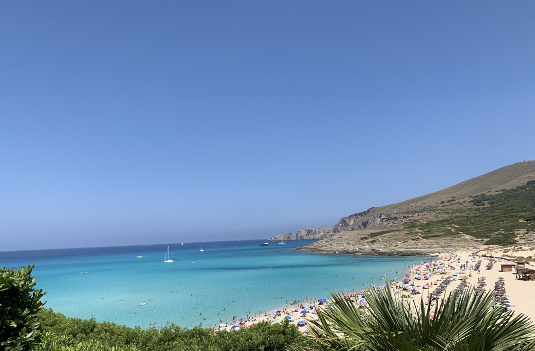 Ausblick VIVA Cala Mesquida Resort & Spa