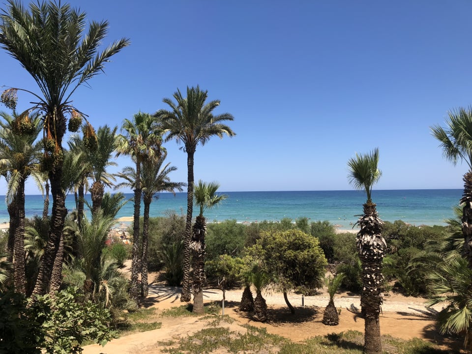 Ausblick Hotel Marhaba Beach