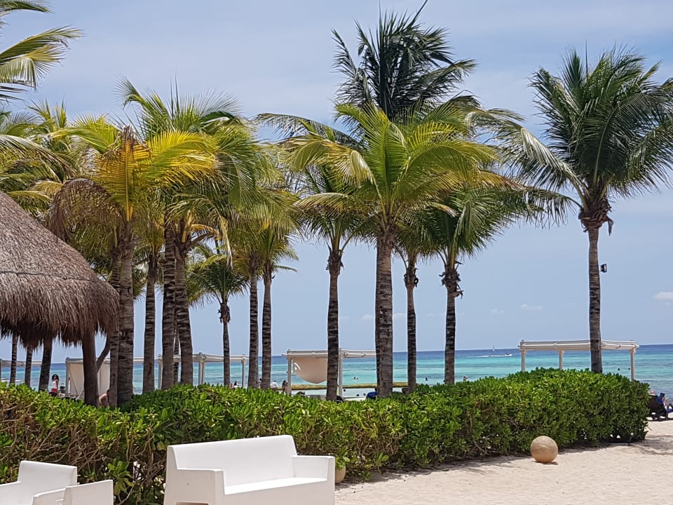 Strand Sandos Caracol Eco Resort & Spa Select Club Adults only - All Inclusive