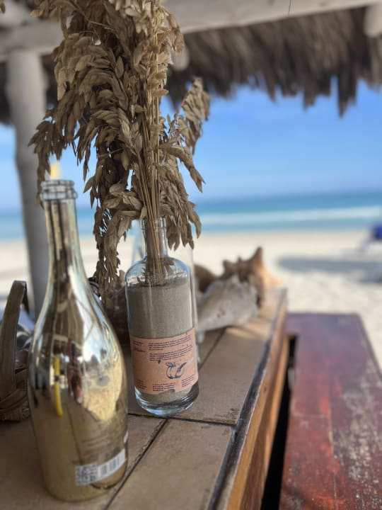 Strand Blau varadero - Adults only