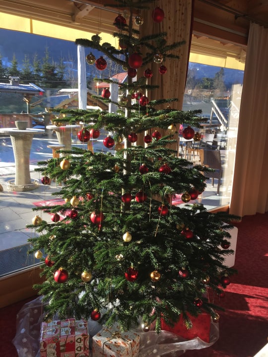 Der Weihnachtsbaum ohne Lichter Vitalhotel Sonnenhof
