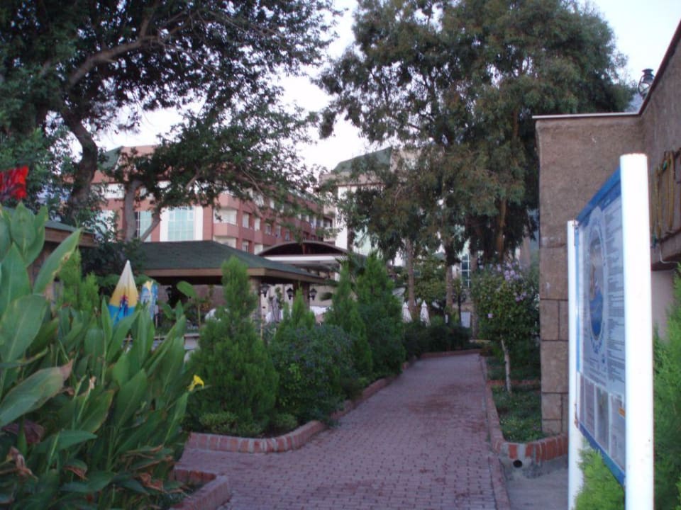 Kurze Wege Armas Gül Beach