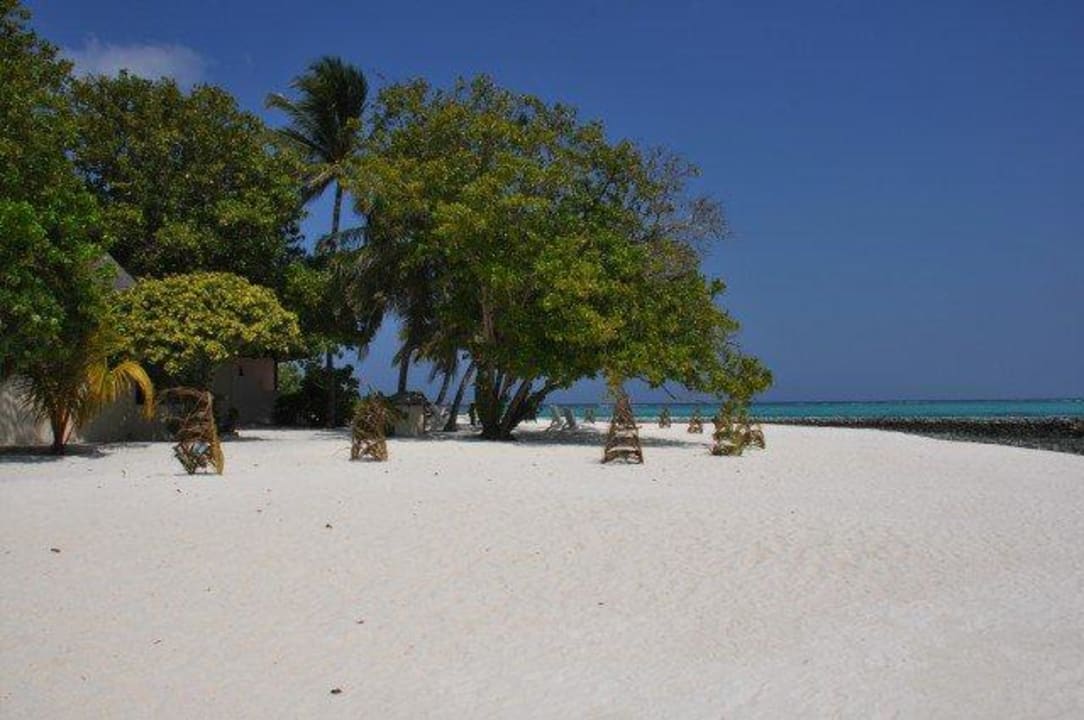 Nordost mit neuer Anpflanzung Summer Island Maldives