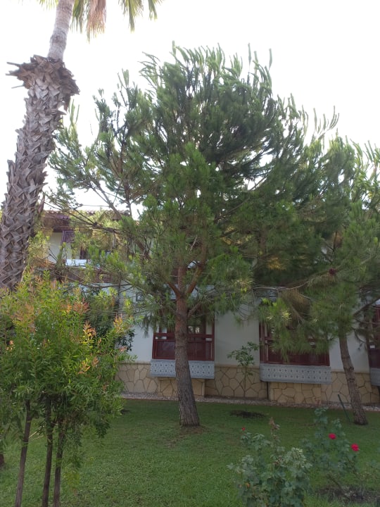 Gartenanlage Ali Bey Club