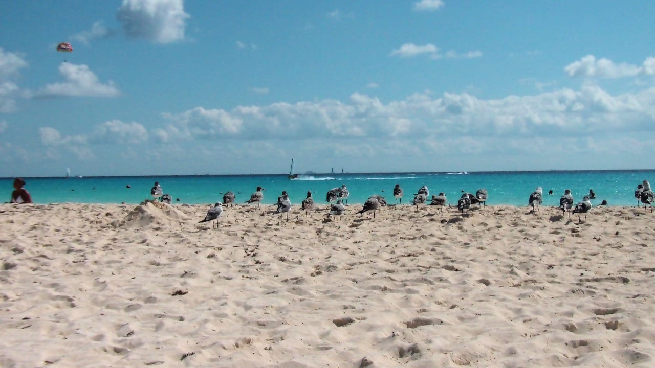 Strand Sandos Playacar Select Club Adults only - All Inclusive