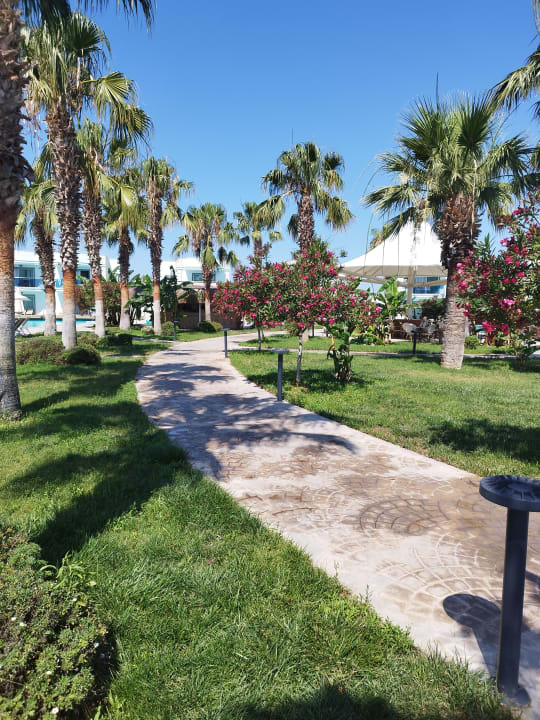 Gartenanlage Aquasis De Luxe Resort & Spa