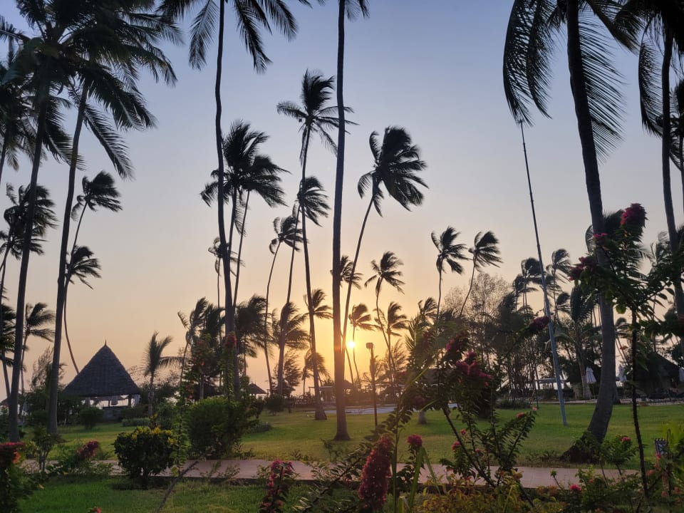 Gartenanlage TUI Blue Bahari Zanzibar