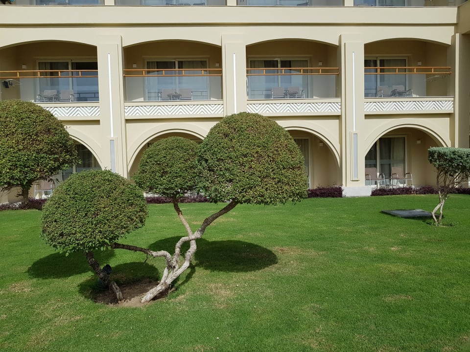 Gartenanlage Pickalbatros White Beach Resort - Hurghada