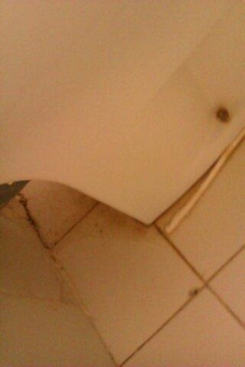 Toilette Samira Club