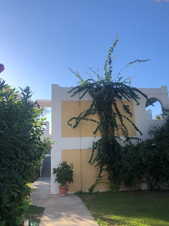 Außenansicht TUI KIDS CLUB Alex Beach