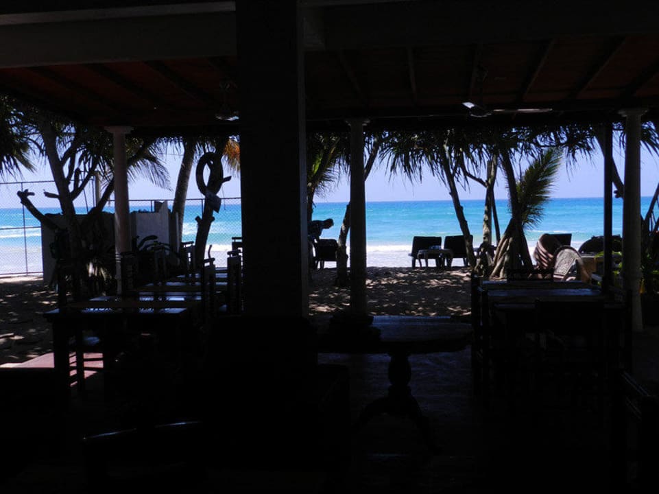 Auch vom Restaurant das Meer im Blick Hotel Haus am Meer Wilde Ananas