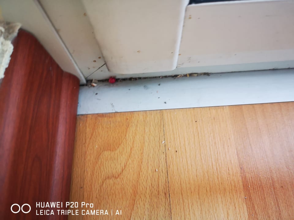 Zimmer Limak Limra Hotel & Resort