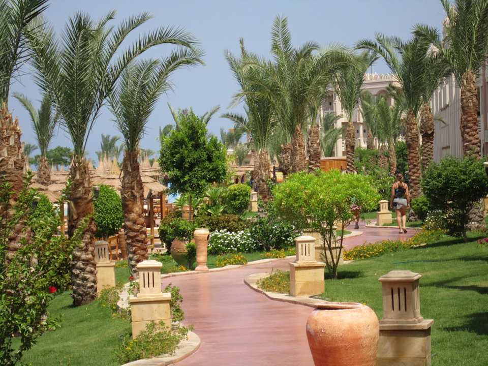 Teren hotelu Pickalbatros Palace Resort
