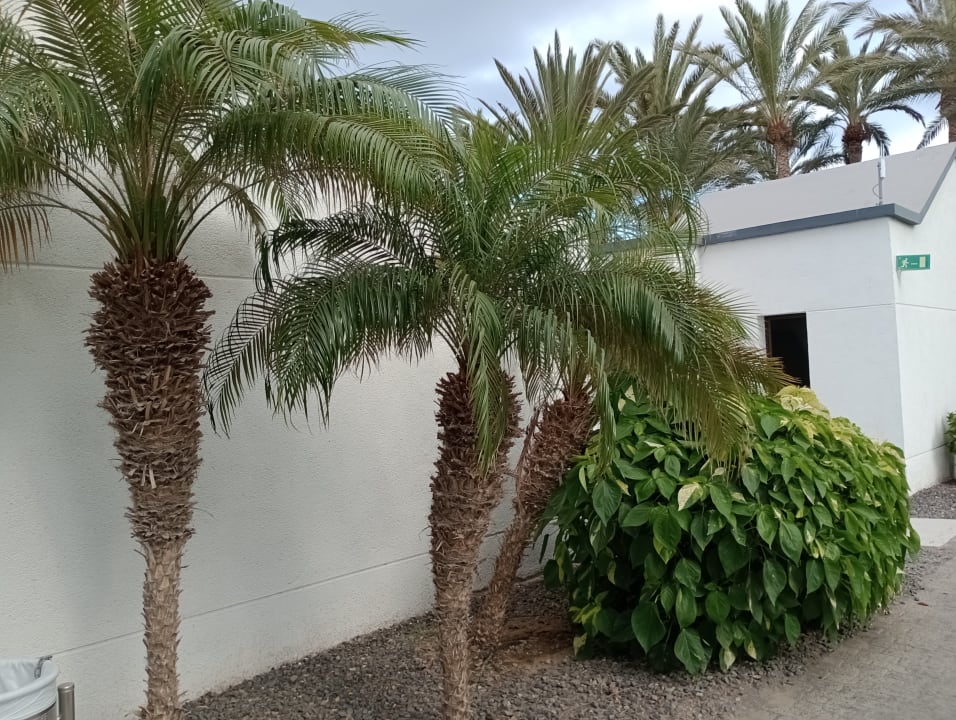 Gartenanlage R2 Romantic Fantasia Suites - Adults only