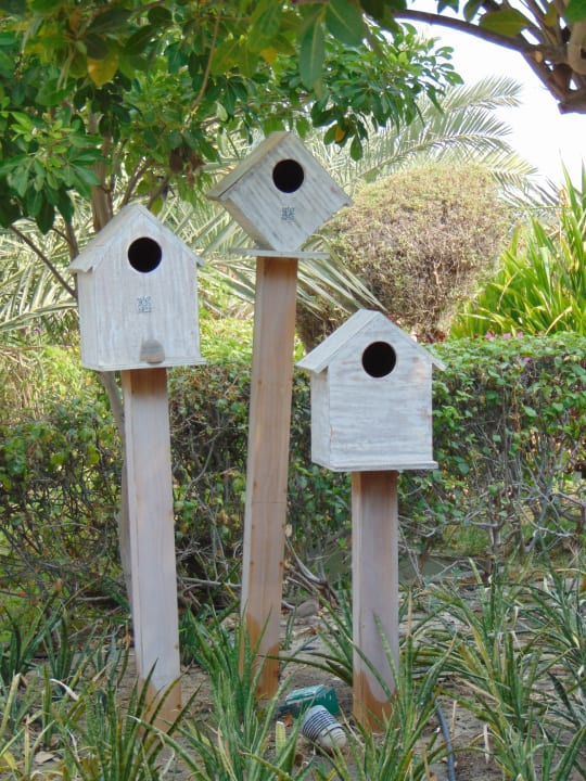 Gartenanlage The Art Hotel & Resort