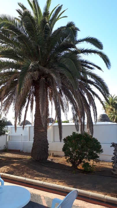 Außenansicht Hotel Islas Paraiso