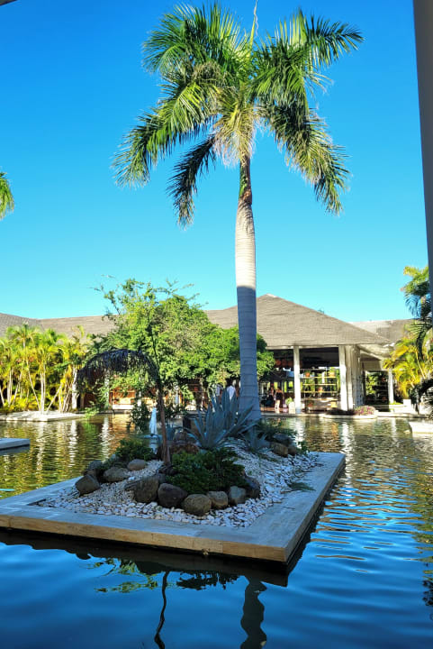 Ausblick Meliá Punta Cana Beach Resort - A Wellness Inclusive For Adults Only