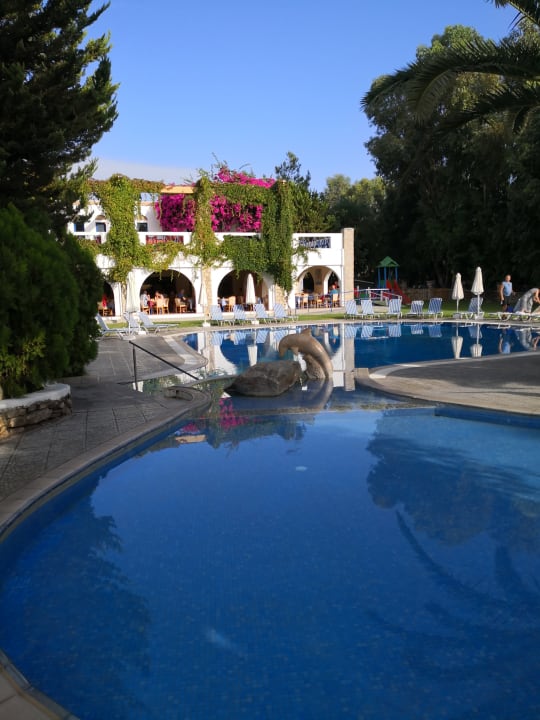 Pool Ekaterini Hotel