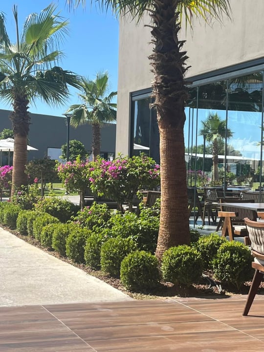 Gartenanlage Jacaranda Luxury Resort