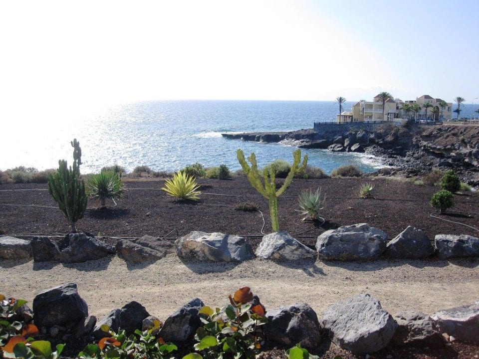 Blick zum Meer hinter dem Pool Bahia Principe Sunlight Costa Adeje