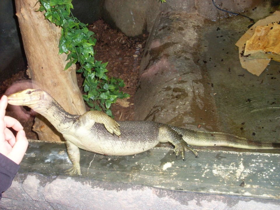 Dschungelland Ferienwohnungen Ferienpark Weissenhäuser Strand
