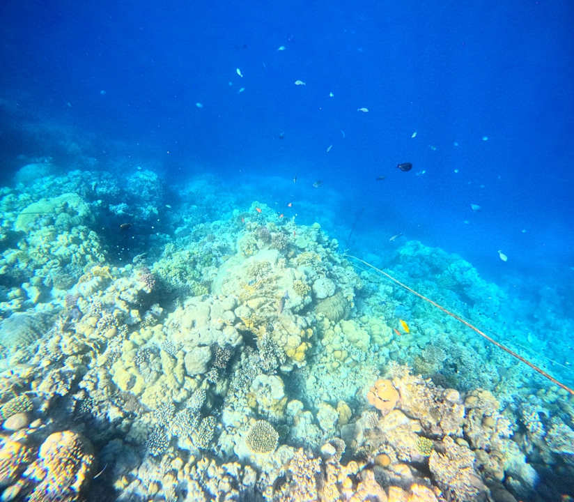 Strand Coral Hills Resorts & SPA