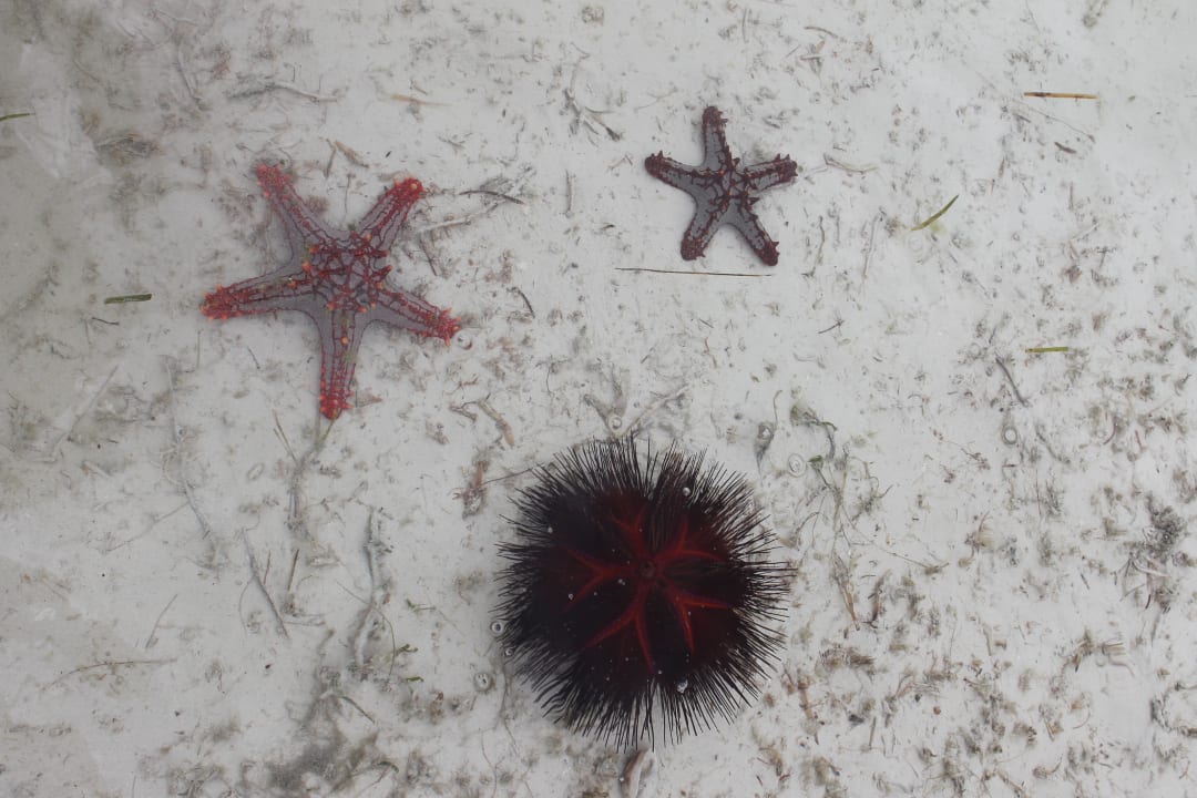 Strand Neptune Village Beach Resort & Spa