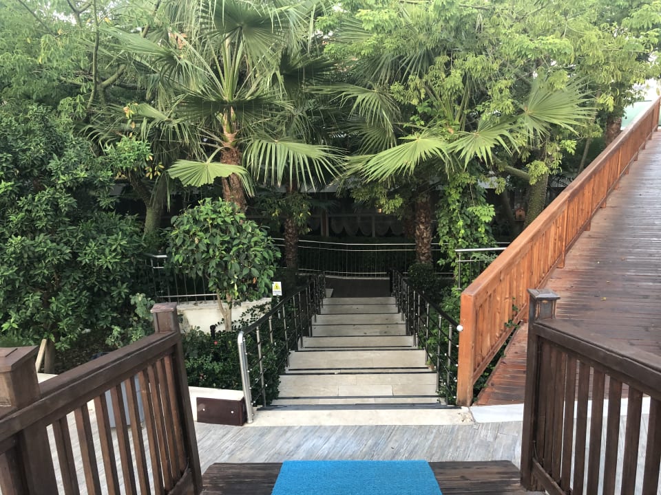 Gartenanlage Dream World Aqua Hotel