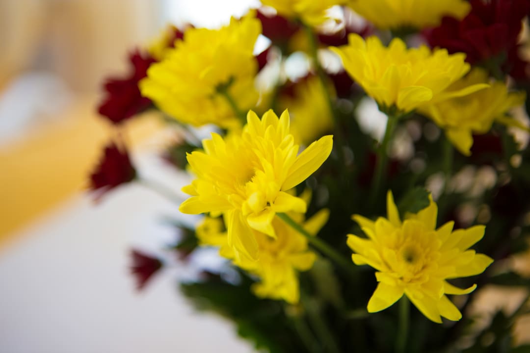 Sonstiges Mathios luxury Homes