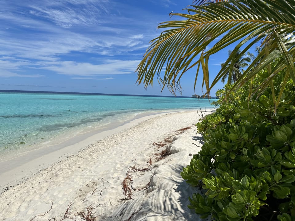 Strand NH Collection Maldives Havodda Resort