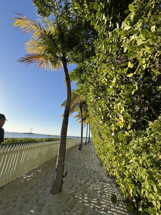 Gartenanlage Parrot Key Hotel & Resort