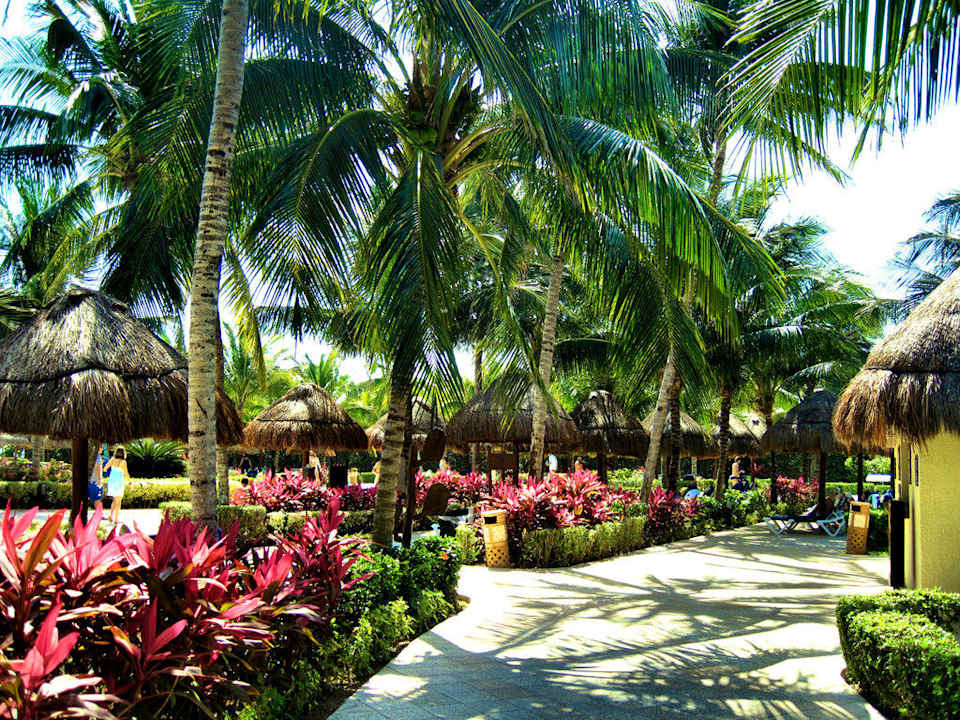 Около бассейна Grand Palladium Select White Sand Resort & Spa