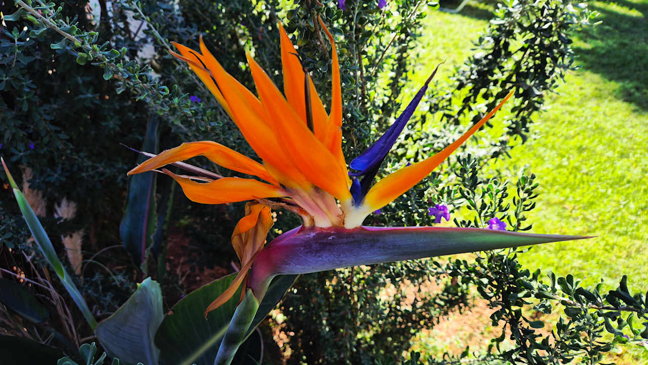 Außenansicht Anissa Beach & Village