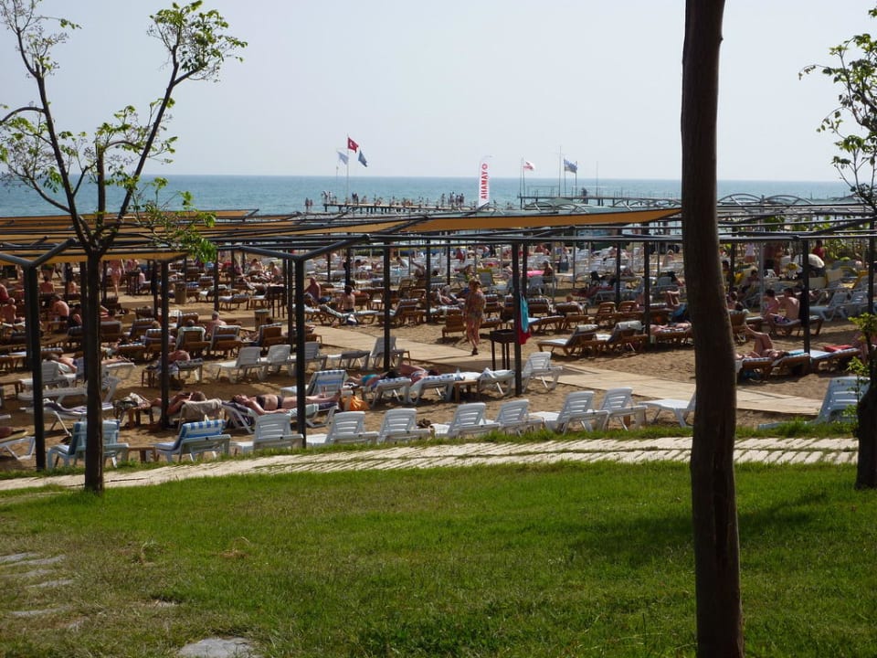 Ausblick von der Strandbar Royal Atlantis Spa & Resort