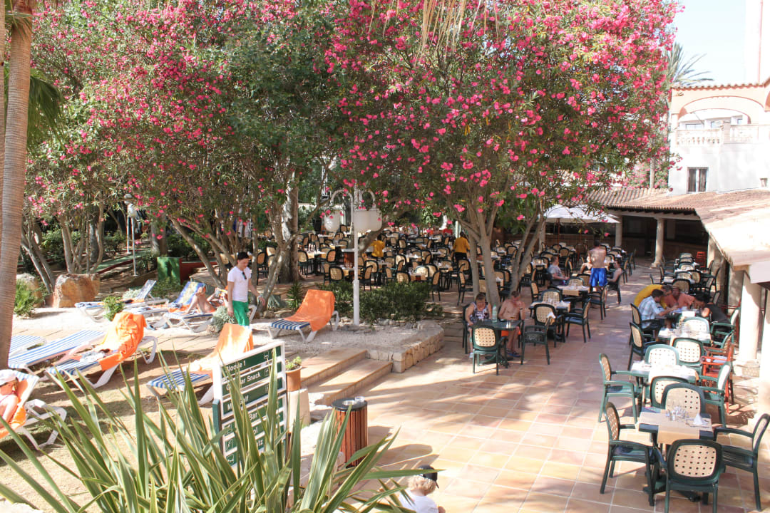 Grillbar-Aussenrestaurant R2 Lago Playa Park