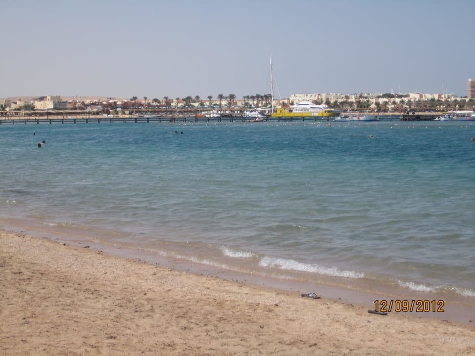 Auch bei Ebbe ist genug Wasser zum schwimmen da Jaz Makadi Oasis Resort