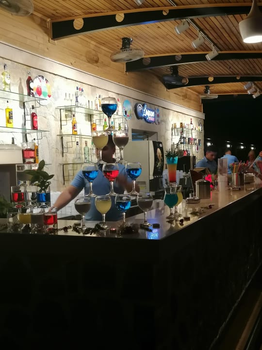 Gastro Crystal Family Comfort Collection